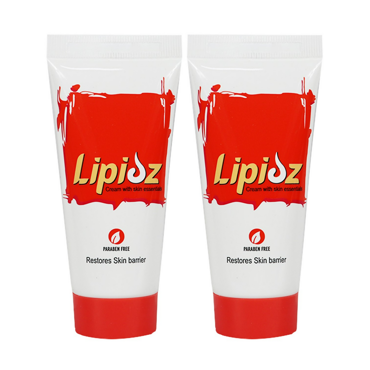 https://cdn.shopify.com/s/files/1/1857/6931/files/zx0v1wjAJK.png?v=1722945821