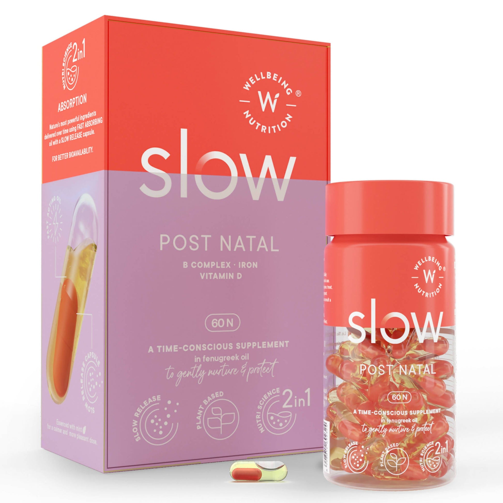 https://cdn.shopify.com/s/files/1/1857/6931/products/zyPv6Cghjl.jpg?v=1762374215