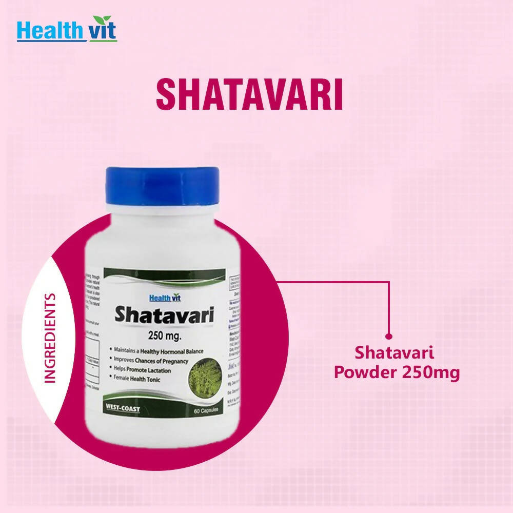 https://cdn.shopify.com/s/files/1/1857/6931/products/zytHFNKwQt.jpg?v=1669982483