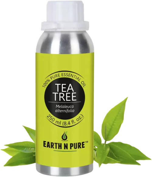 https://cdn.shopify.com/s/files/1/1857/6931/products/zyuEIkrw0Z.jpg?v=1646460671