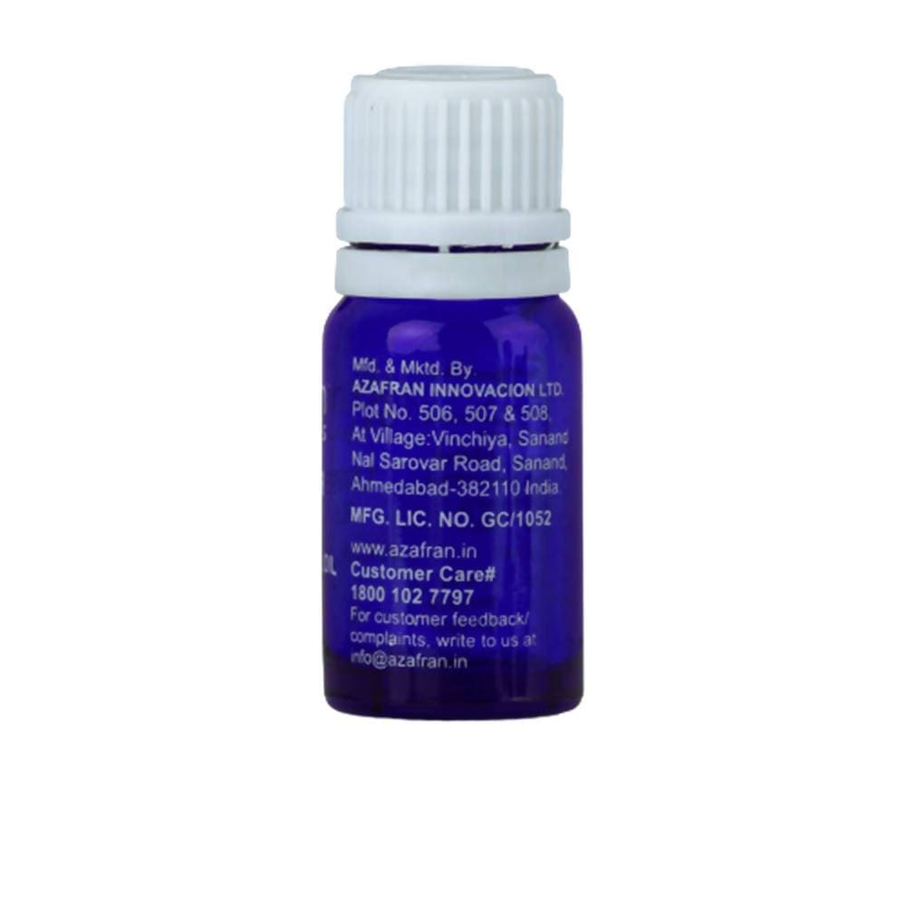 https://cdn.shopify.com/s/files/1/1857/6931/products/zzeAmbfL6I.jpg?v=1613904269