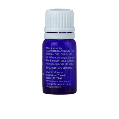 https://cdn.shopify.com/s/files/1/1857/6931/products/zzeAmbfL6I.jpg?v=1613904269