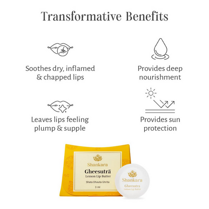 https://cdn.shopify.com/s/files/1/1857/6931/files/zztBIVVCkp.png?v=1724320701