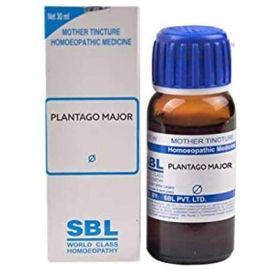 SBL Homeopathy Plantago Major Mother Tincture Q