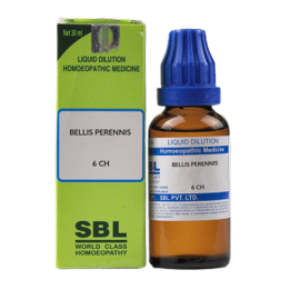 SBL Homeopathy Bellis Perennis Dilution 6 CH