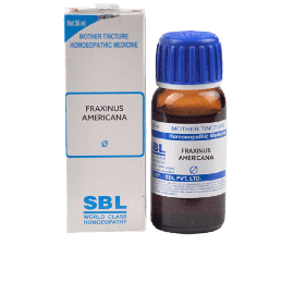 SBL Homeopathy Fraxinus Americana Mother Tincture Q
