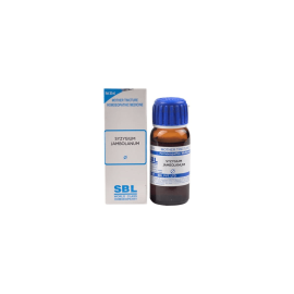 SBL Homeopathy Syzygium Jambolanum Mother Tincture Q 30 ml