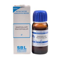 SBL Homeopathy Gnaphallium Polycephalum Mother Tincture Q - indiangoods