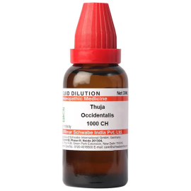 Dr. Willmar Schwabe India Thuja Occidentalis Dilution
