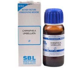 SBL Homeopathy Chimaphila Umbellata Mother Tincture Q - indiangoods