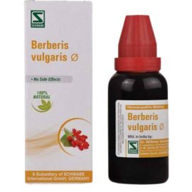Dr. Willmar Schwabe India Berberis vulgaris Mother Tincture Q