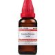Dr. Willmar Schwabe India Candida Albicans Dilution