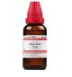 Dr. Willmar Schwabe India Allium Cepa Dilution