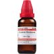 Dr. Willmar Schwabe India Conium Maculatum Dilution