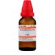 Dr. Willmar Schwabe India Anacardium Orientale Dilution