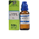 SBL Homeopathy Aesculus Hippocastanum Dilution