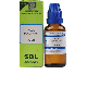SBL Homeopathy Aloe Socotrina Dilution