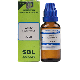 SBL Homeopathy Carbo Vegetabilis Dilution 30 CH