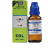 SBL Homeopathy Spongia Tosta Dilution