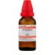 Dr. Willmar Schwabe India Iris Versicolor Dilution