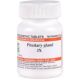 Dr. Willmar Schwabe India Pituitary Gland