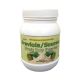 Alavi Soursop Fruit Dry Powder