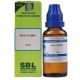 SBL Homeopathy Rhus Glabra Dilution - indiangoods