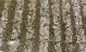 Nathu's Pure Pista Louge
