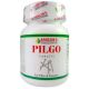 Bakson's Homeopathy Pilgo Tablets