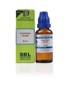 SBL Homeopathy Plantago Major Dilution